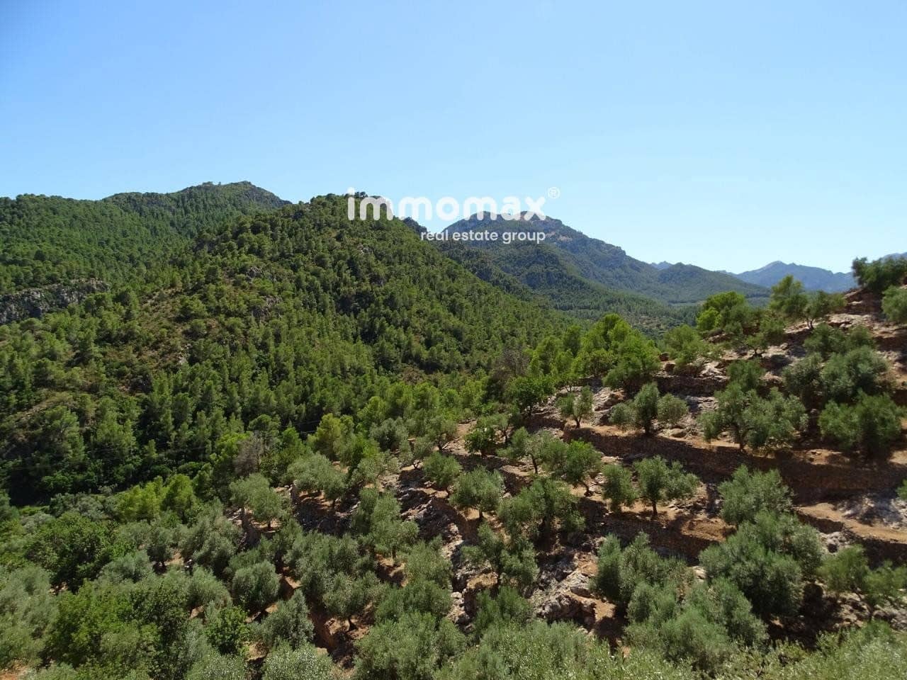 Grunde uden byggetilladelser til salg i Pauls - € 85.000 (Ref: 8050320)