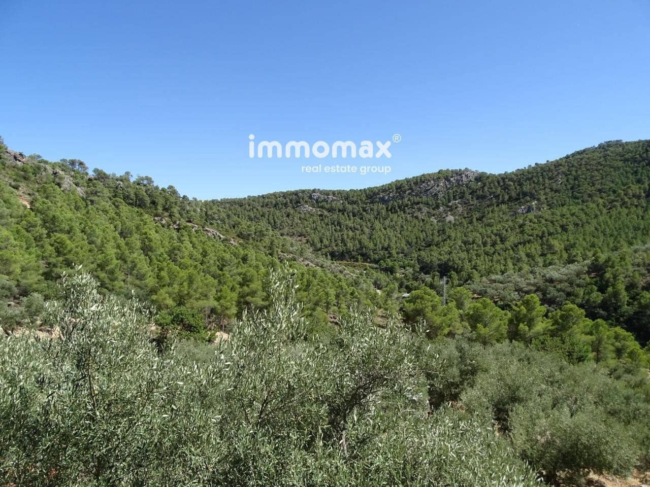 Grunde uden byggetilladelser til salg i Pauls - € 85.000 (Ref: 8050320)