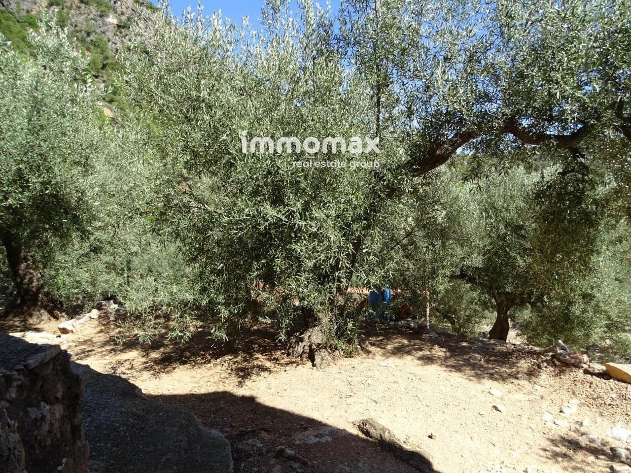 Grunde uden byggetilladelser til salg i Pauls - € 85.000 (Ref: 8050320)