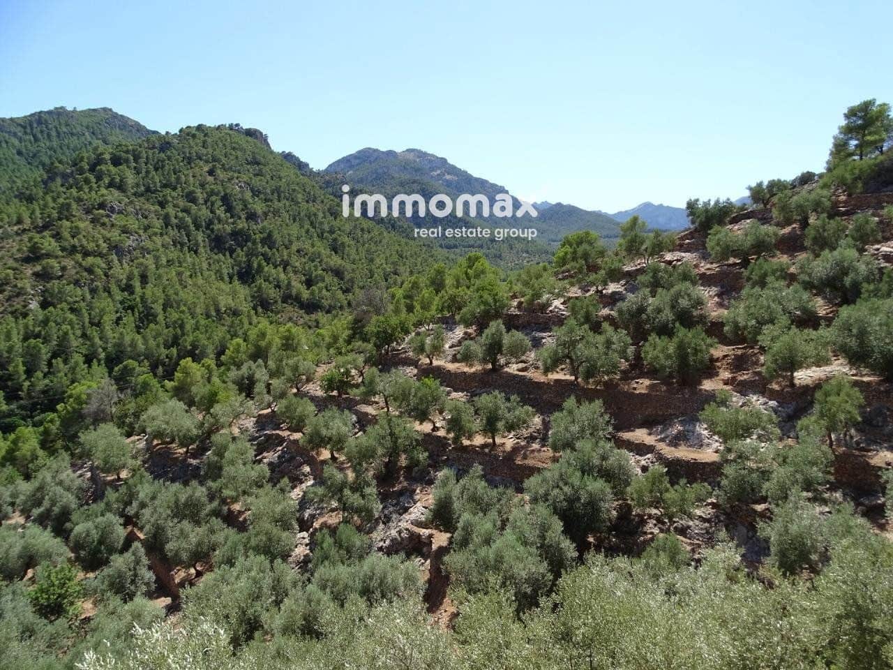 Grunde uden byggetilladelser til salg i Pauls - € 85.000 (Ref: 8050320)