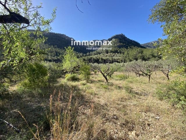 Grunde uden byggetilladelser til salg i Paüls - € 40.000 (Ref: 8050321)