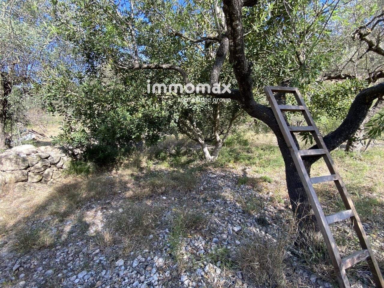 Grunde uden byggetilladelser til salg i Pauls - € 40.000 (Ref: 8050321)