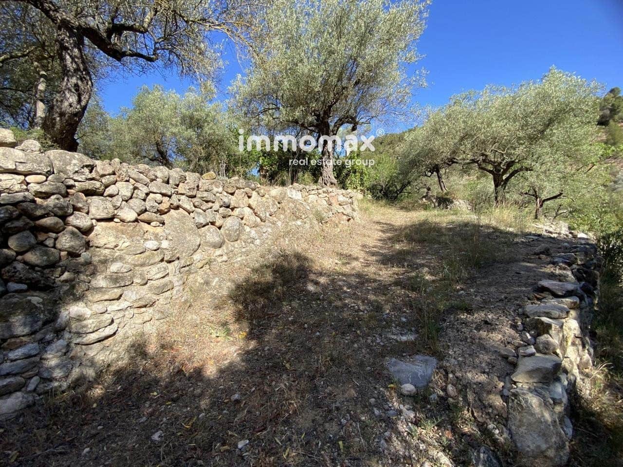 Grunde uden byggetilladelser til salg i Pauls - € 40.000 (Ref: 8050321)