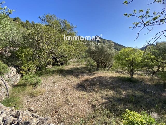 Grunde uden byggetilladelser til salg i Paüls - € 40.000 (Ref: 8050321)