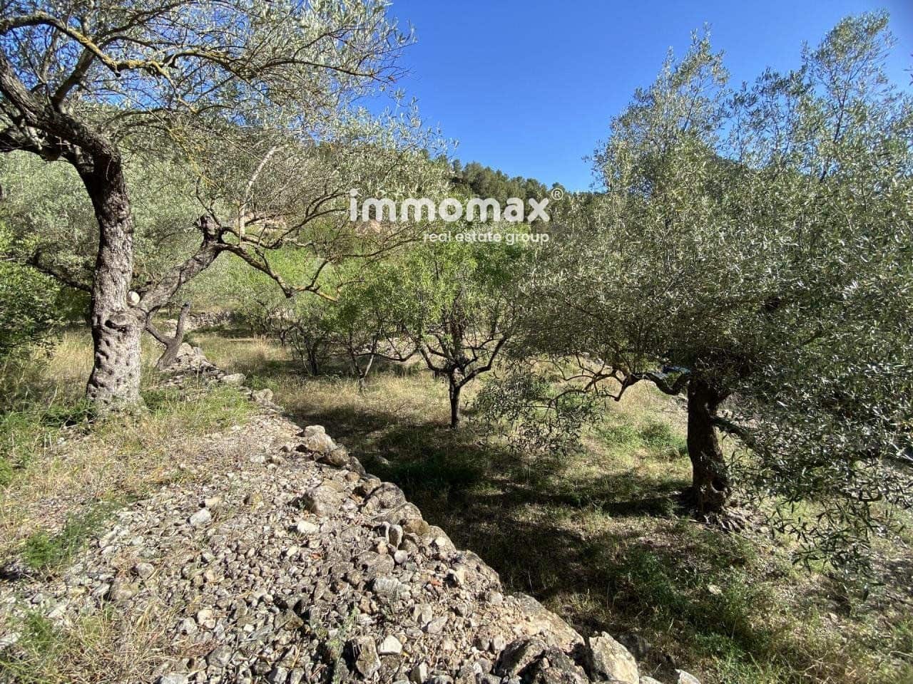 Grunde uden byggetilladelser til salg i Pauls - € 40.000 (Ref: 8050321)