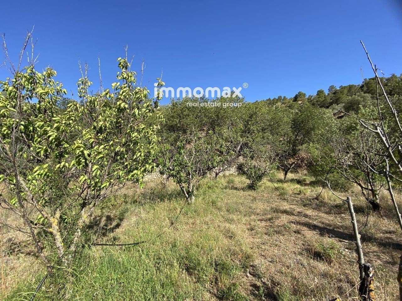 Grunde uden byggetilladelser til salg i Pauls - € 40.000 (Ref: 8050321)