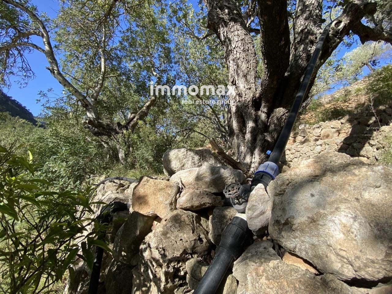 Grunde uden byggetilladelser til salg i Pauls - € 40.000 (Ref: 8050321)