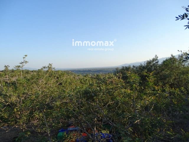 Undeveloped Land for sale in Bitem, Tortosa - € 26,000 (Ref: 8050332)