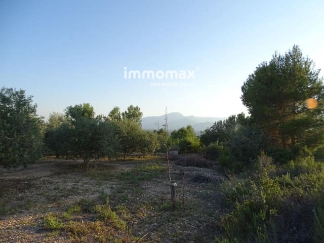 Undeveloped Land for sale in Bitem, Tortosa - € 26,000 (Ref: 8050332)