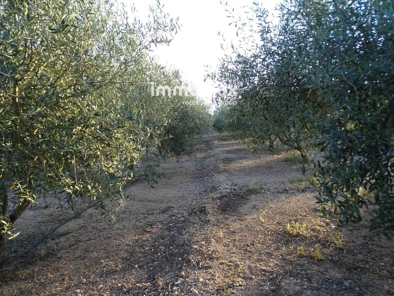 Grunde uden byggetilladelser til salg i Bitem - € 26.000 (Ref: 8050332)