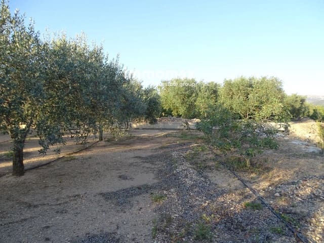Undeveloped Land for sale in Bitem, Tortosa - € 26,000 (Ref: 8050332)