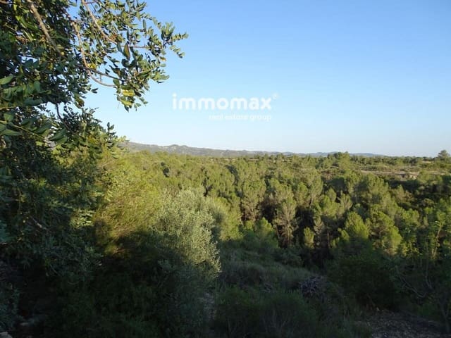 Undeveloped Land for sale in Bitem, Tortosa - € 26,000 (Ref: 8050332)