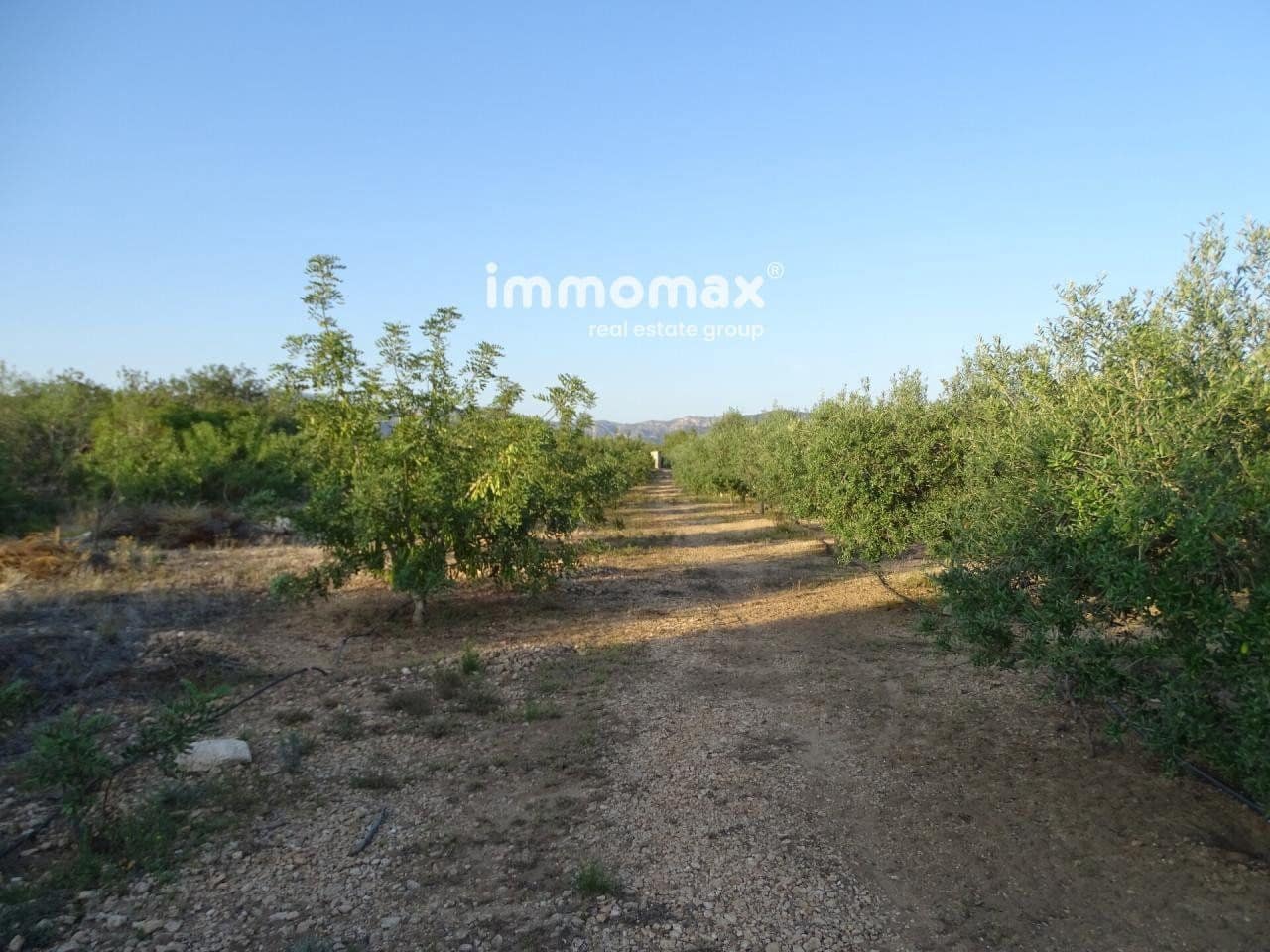 Grunde uden byggetilladelser til salg i Bitem - € 26.000 (Ref: 8050332)