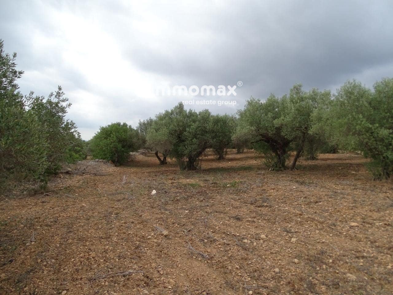 Grunde uden byggetilladelser til salg i Xerta - € 30.000 (Ref: 8050337)