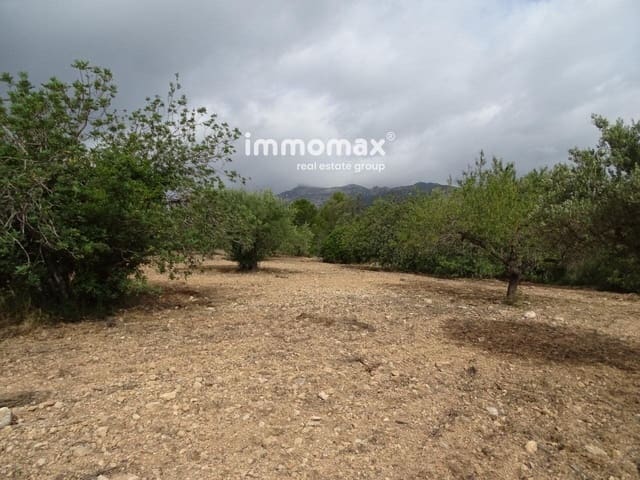 Undeveloped Land for sale in Xerta - € 30,000 (Ref: 8050337)