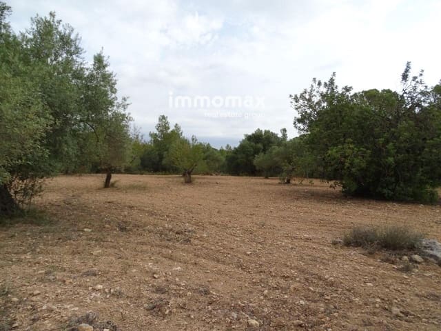 Undeveloped Land for sale in Xerta - € 30,000 (Ref: 8050337)