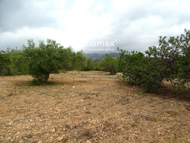 Undeveloped Land for sale in Xerta - € 30,000 (Ref: 8050337)