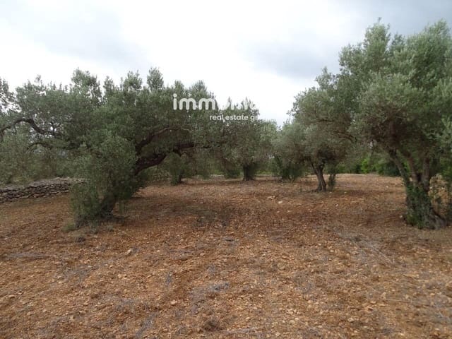 Undeveloped Land for sale in Xerta - € 30,000 (Ref: 8050337)
