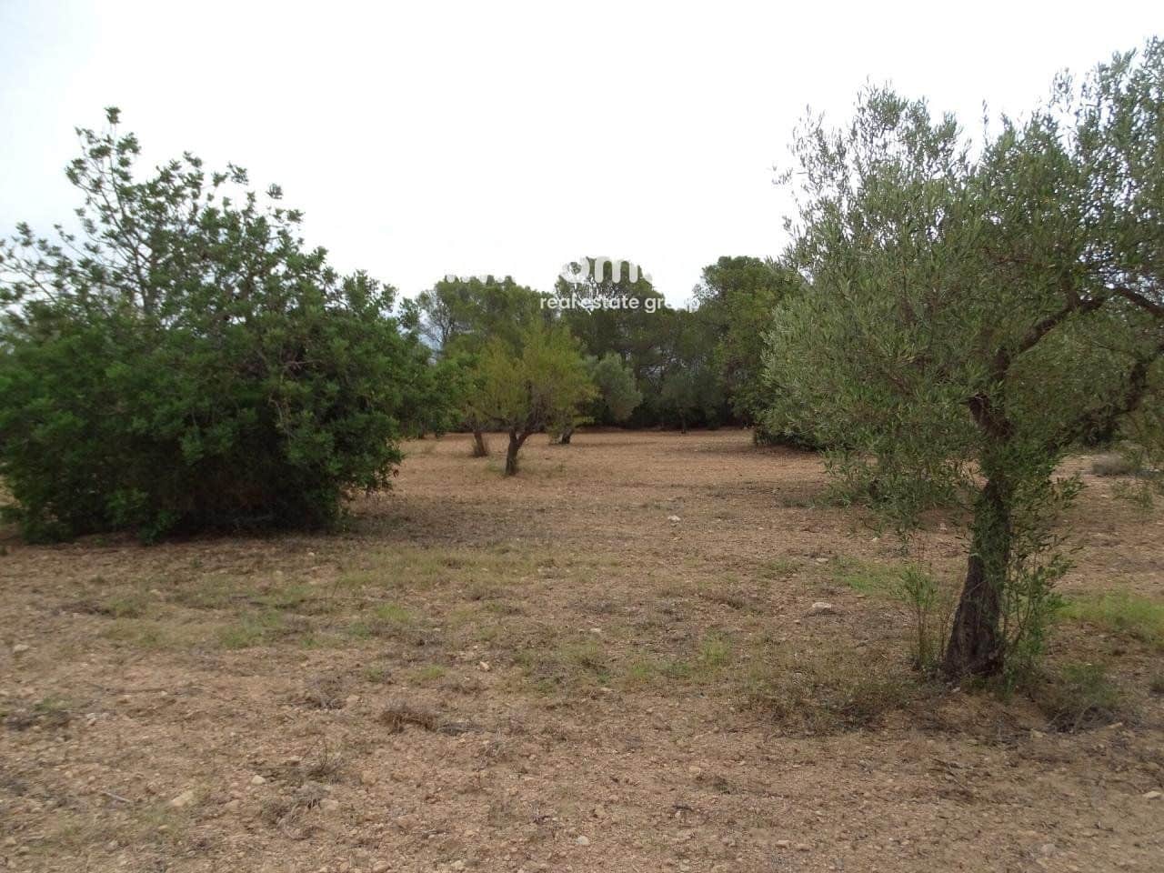 Grunde uden byggetilladelser til salg i Xerta - € 30.000 (Ref: 8050337)