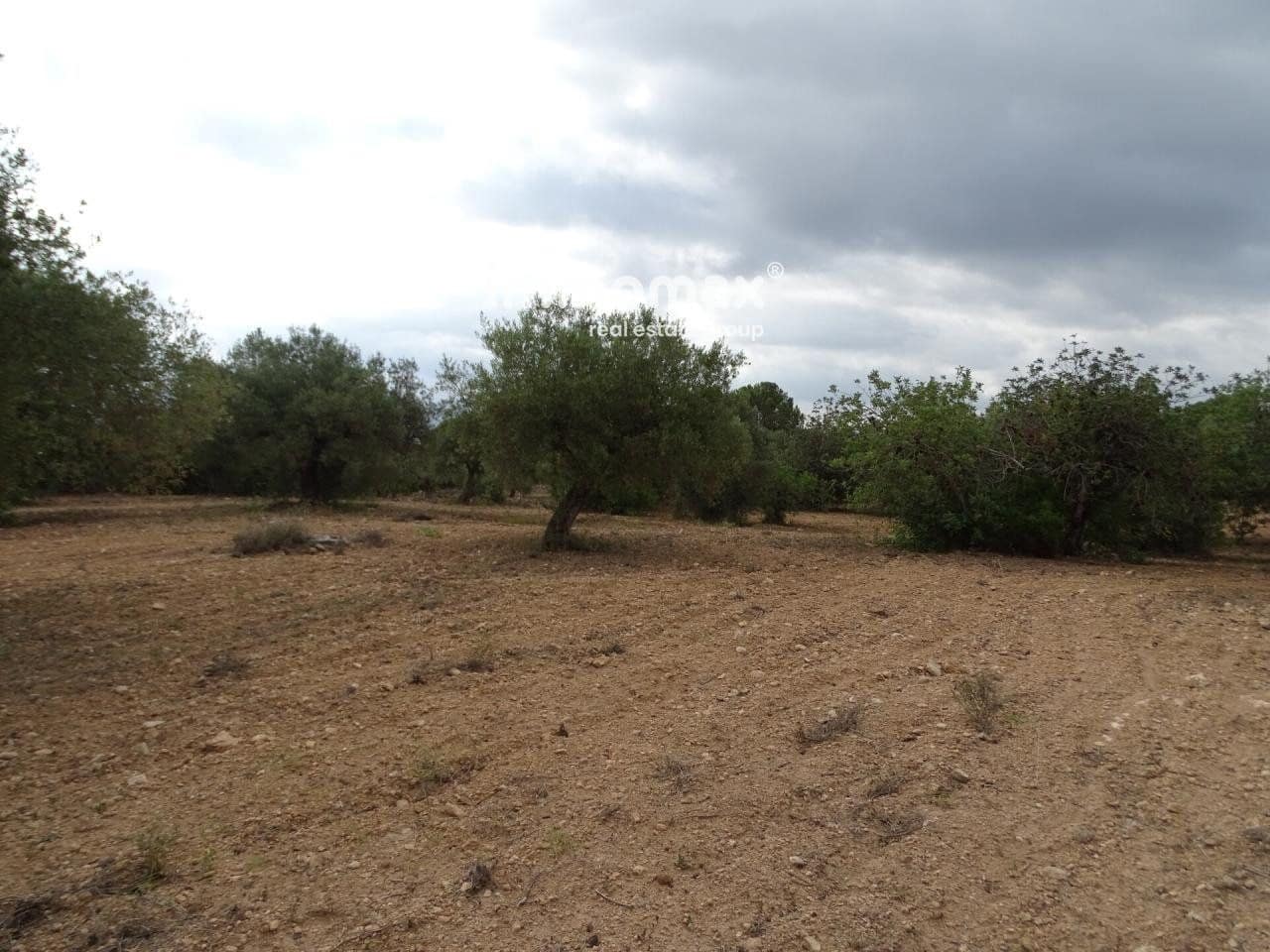 Grunde uden byggetilladelser til salg i Xerta - € 30.000 (Ref: 8050337)