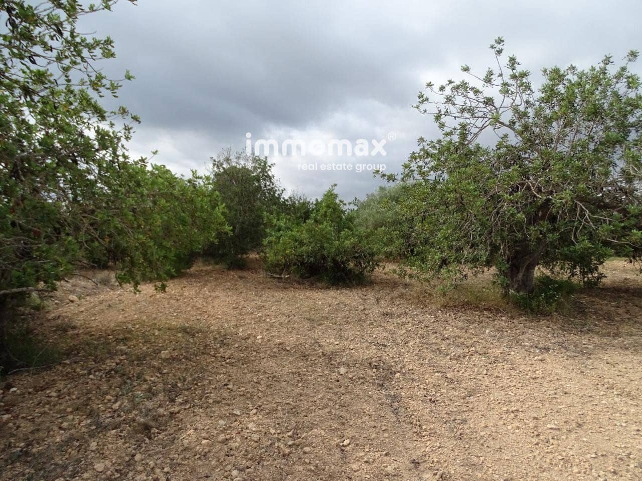 Grunde uden byggetilladelser til salg i Xerta - € 30.000 (Ref: 8050337)