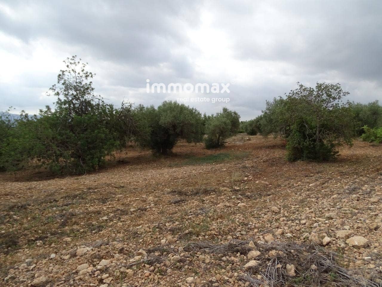 Grunde uden byggetilladelser til salg i Xerta - € 30.000 (Ref: 8050337)