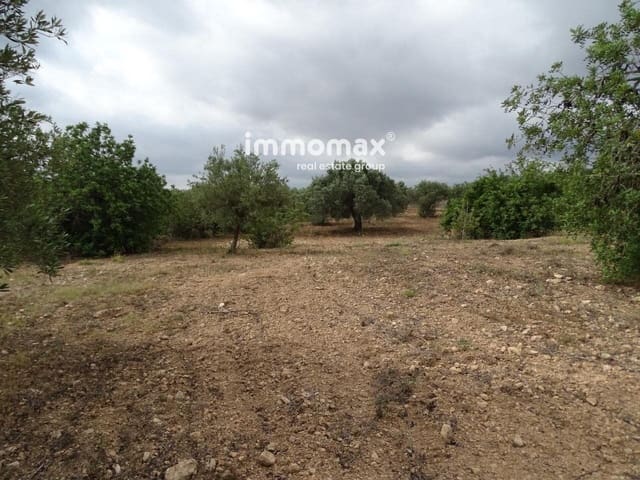 Undeveloped Land for sale in Xerta - € 30,000 (Ref: 8050337)