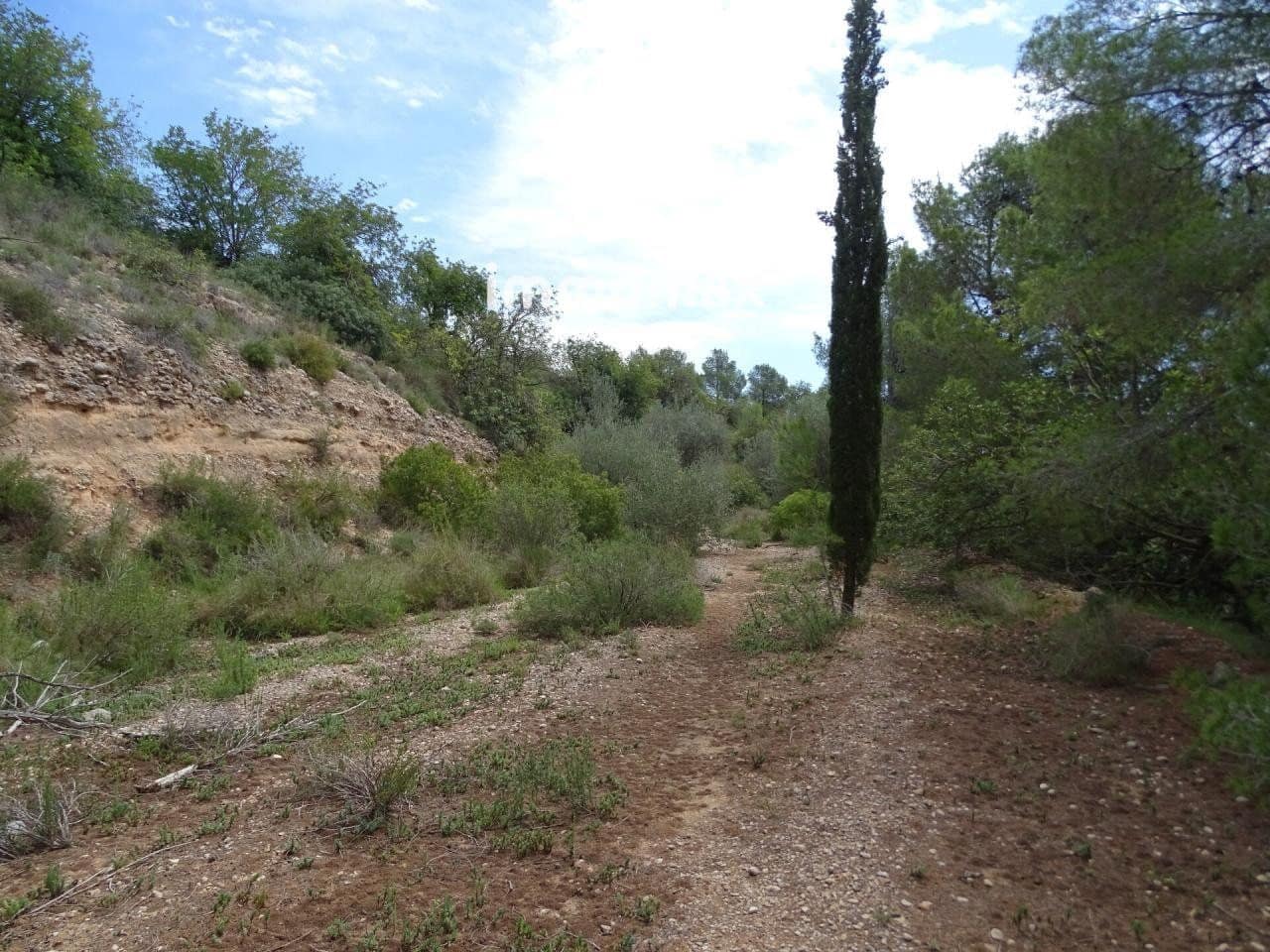 Byggegrund til salg i Tortosa - € 190.000 (Ref: 8056634)