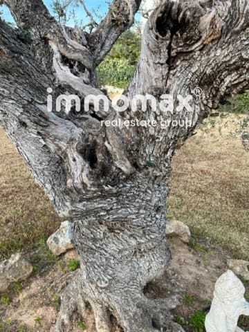 Building Plot for sale in Cubelles - € 130,000 (Ref: 8147640)