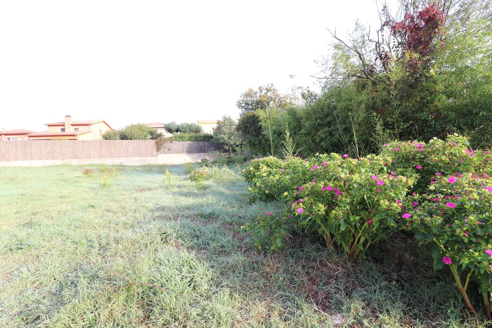 Byggegrund til salg i Sant Celoni - € 128.000 (Ref: 8151742)