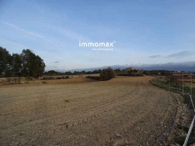 Grond te koop in Horta de Sant Joan - € 121.000 (Ref: 8160850)