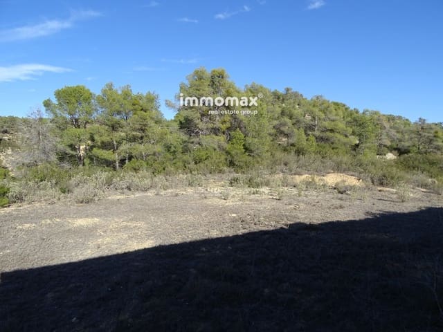 Mark till salu i Caseres - 56 000 € (Ref: 8160851)