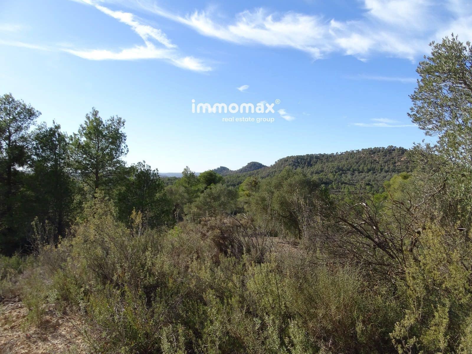 Ubebygd land til salgs i Caseres - € 56 000 (Ref: 8160851)