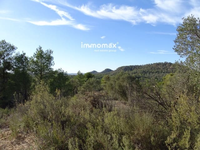 Mark till salu i Caseres - 56 000 € (Ref: 8160851)