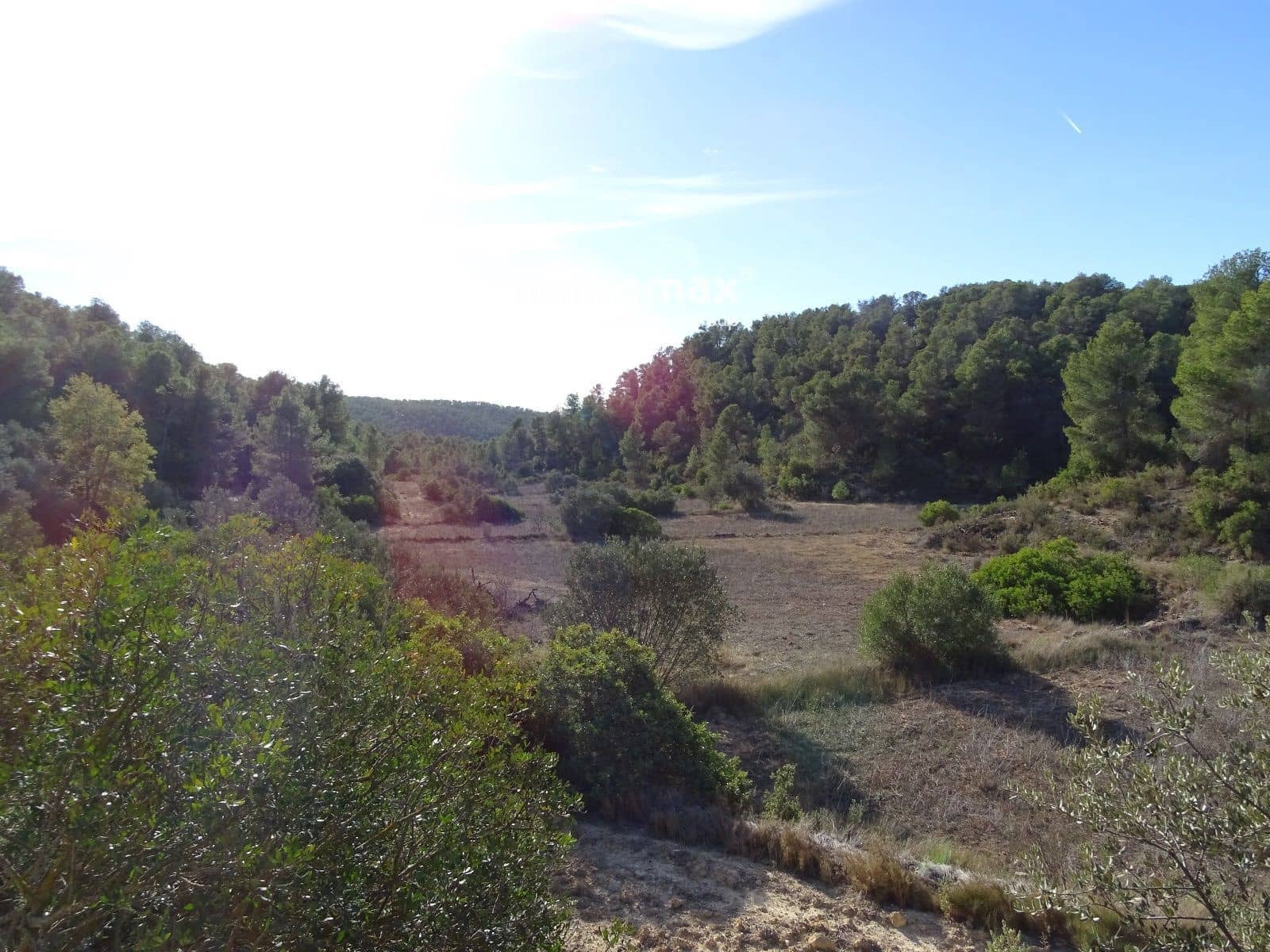 Ubebygd land til salgs i Caseres - € 56 000 (Ref: 8160851)