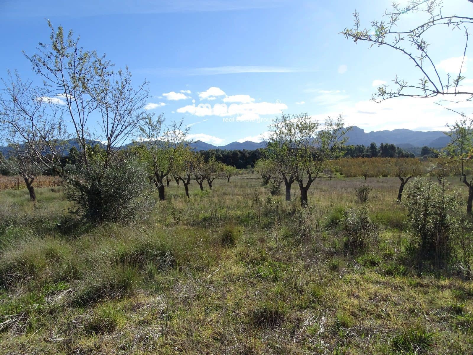 Grunde uden byggetilladelser til salg i Horta de Sant Joan - € 36.000 (Ref: 8165268)