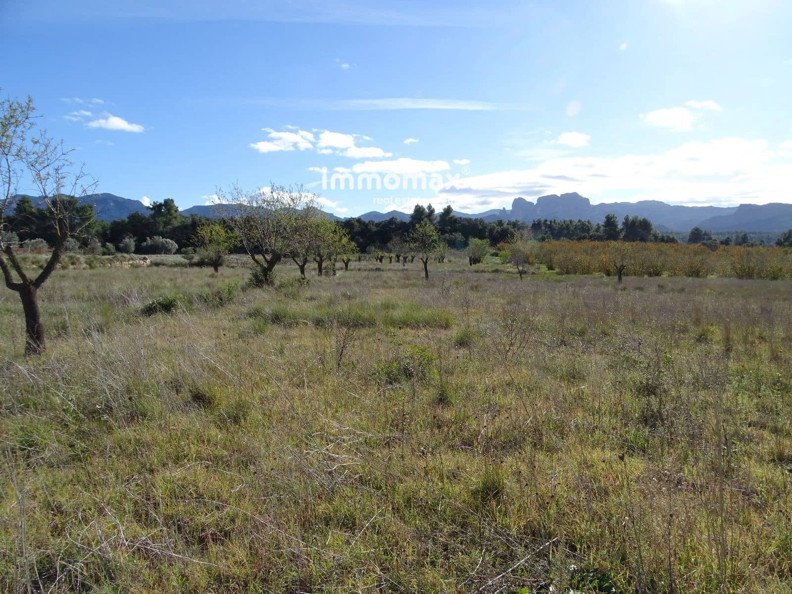 Grunde uden byggetilladelser til salg i Horta de Sant Joan - € 36.000 (Ref: 8165268)