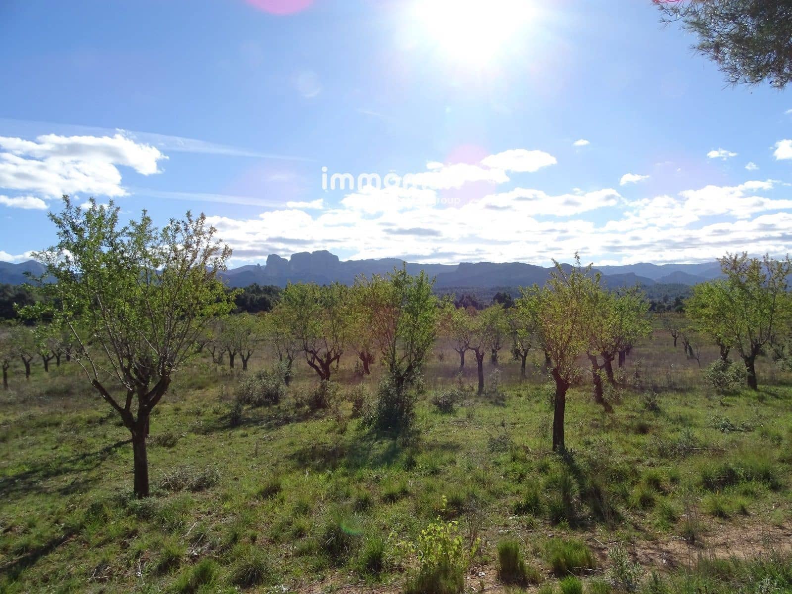 Grunde uden byggetilladelser til salg i Horta de Sant Joan - € 36.000 (Ref: 8165268)