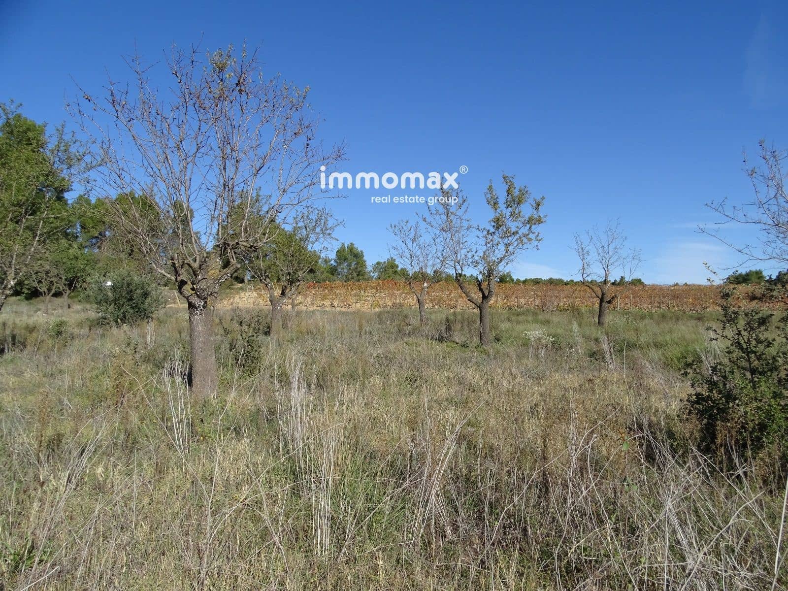 Grunde uden byggetilladelser til salg i Horta de Sant Joan - € 36.000 (Ref: 8165268)