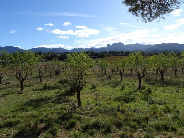 Grond te koop in Horta de Sant Joan - € 36.000 (Ref: 8165268)