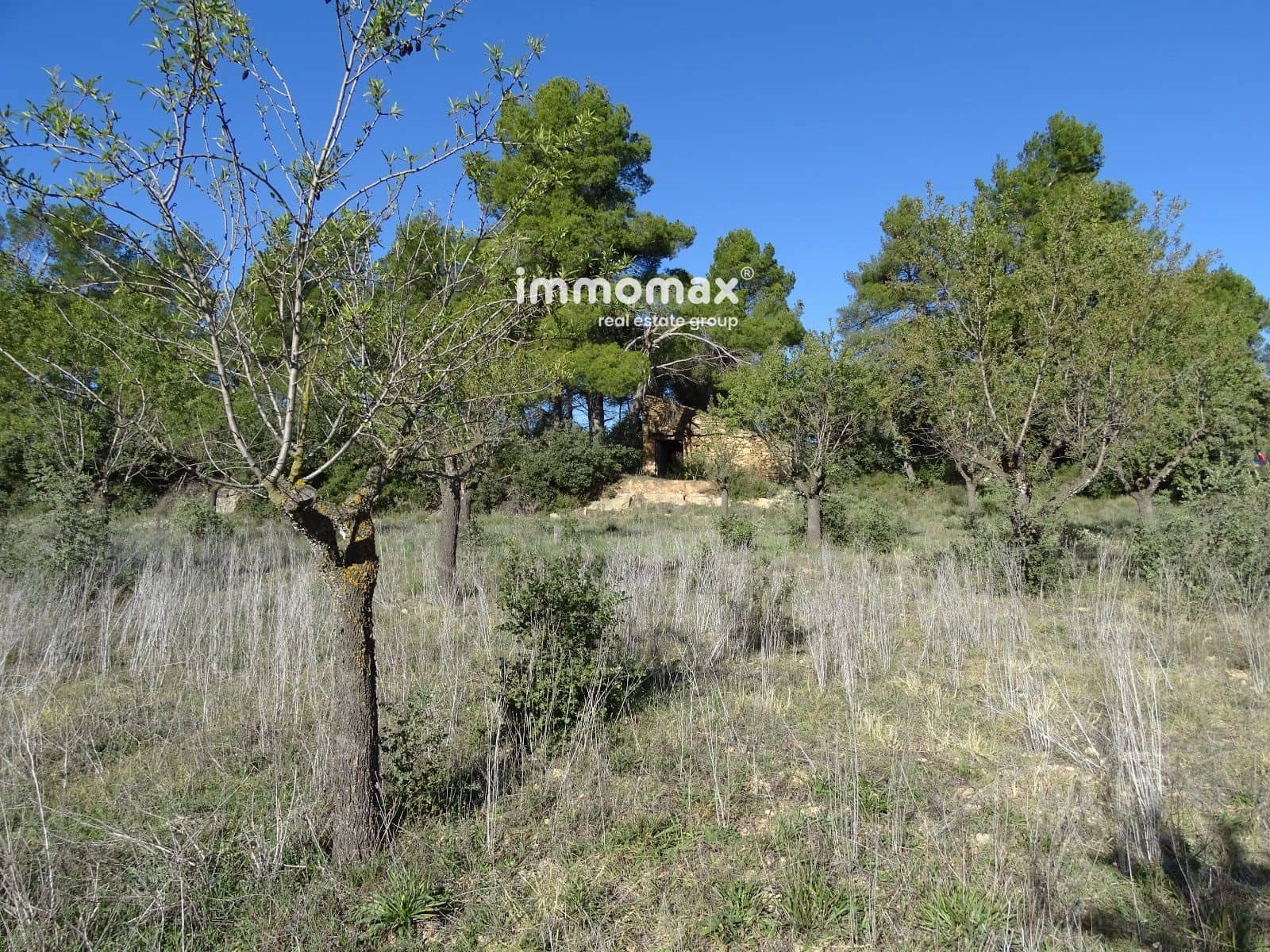 Grunde uden byggetilladelser til salg i Horta de Sant Joan - € 36.000 (Ref: 8165268)