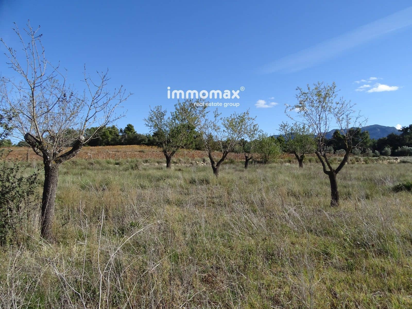 Grunde uden byggetilladelser til salg i Horta de Sant Joan - € 36.000 (Ref: 8165268)