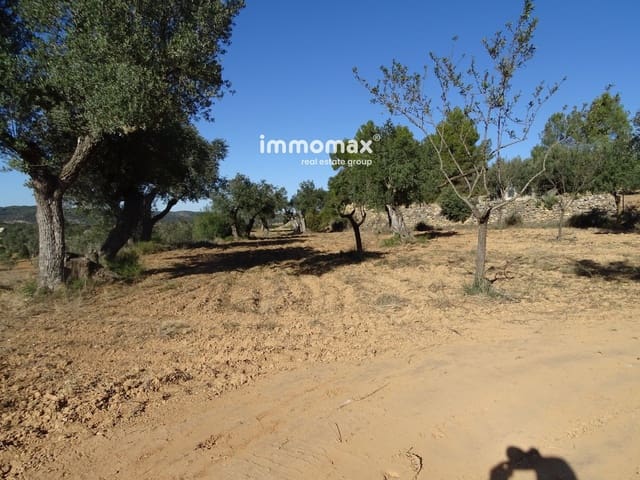 Grond te koop in Horta de Sant Joan - € 26.000 (Ref: 8172123)