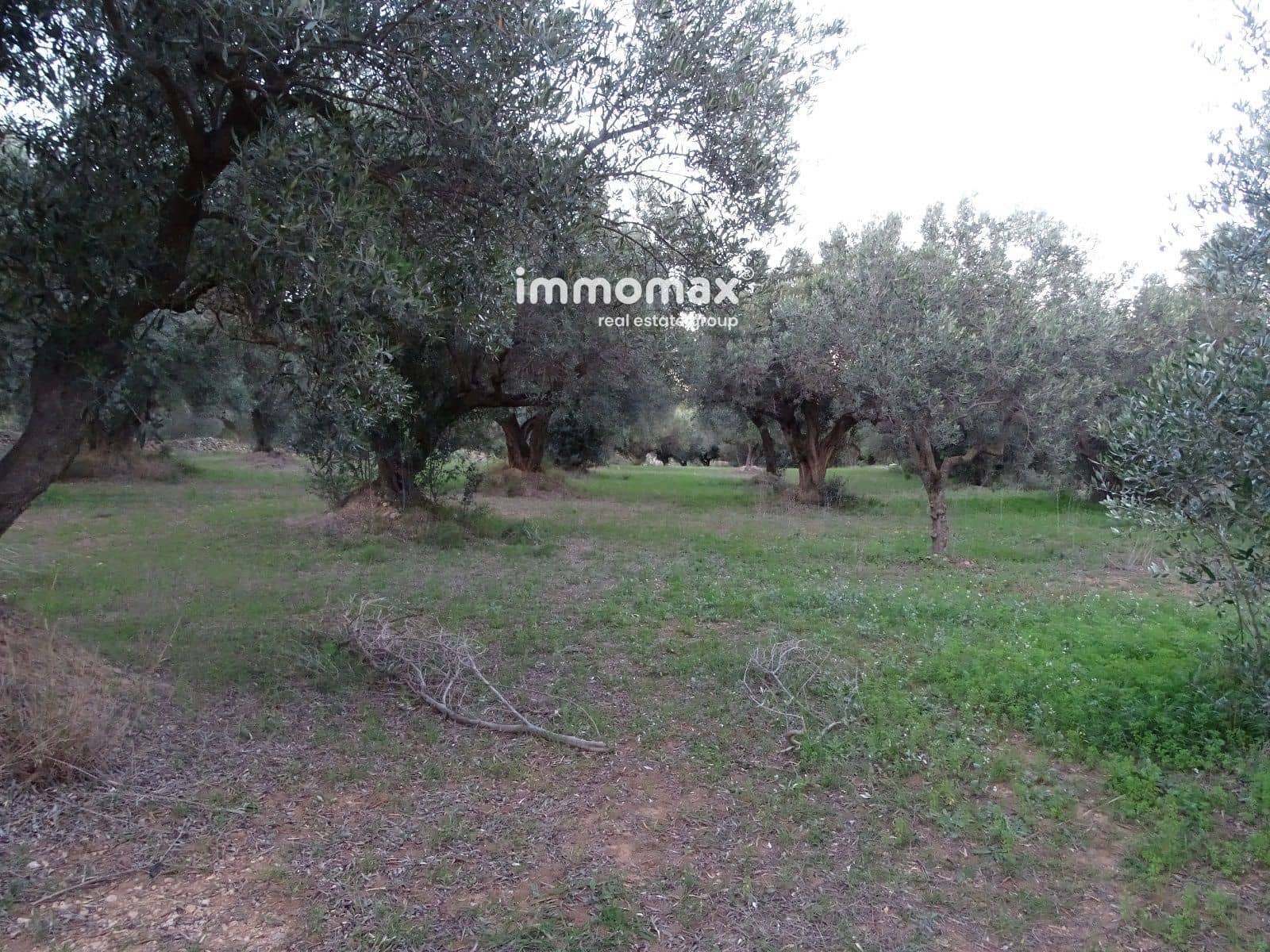 Terre non Aménagée à vendre à Xerta - 36 000 € (Ref: 8172124)