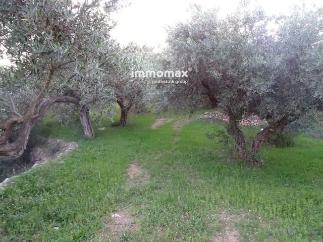 Undeveloped Land for sale in Xerta - € 36,000 (Ref: 8172124)