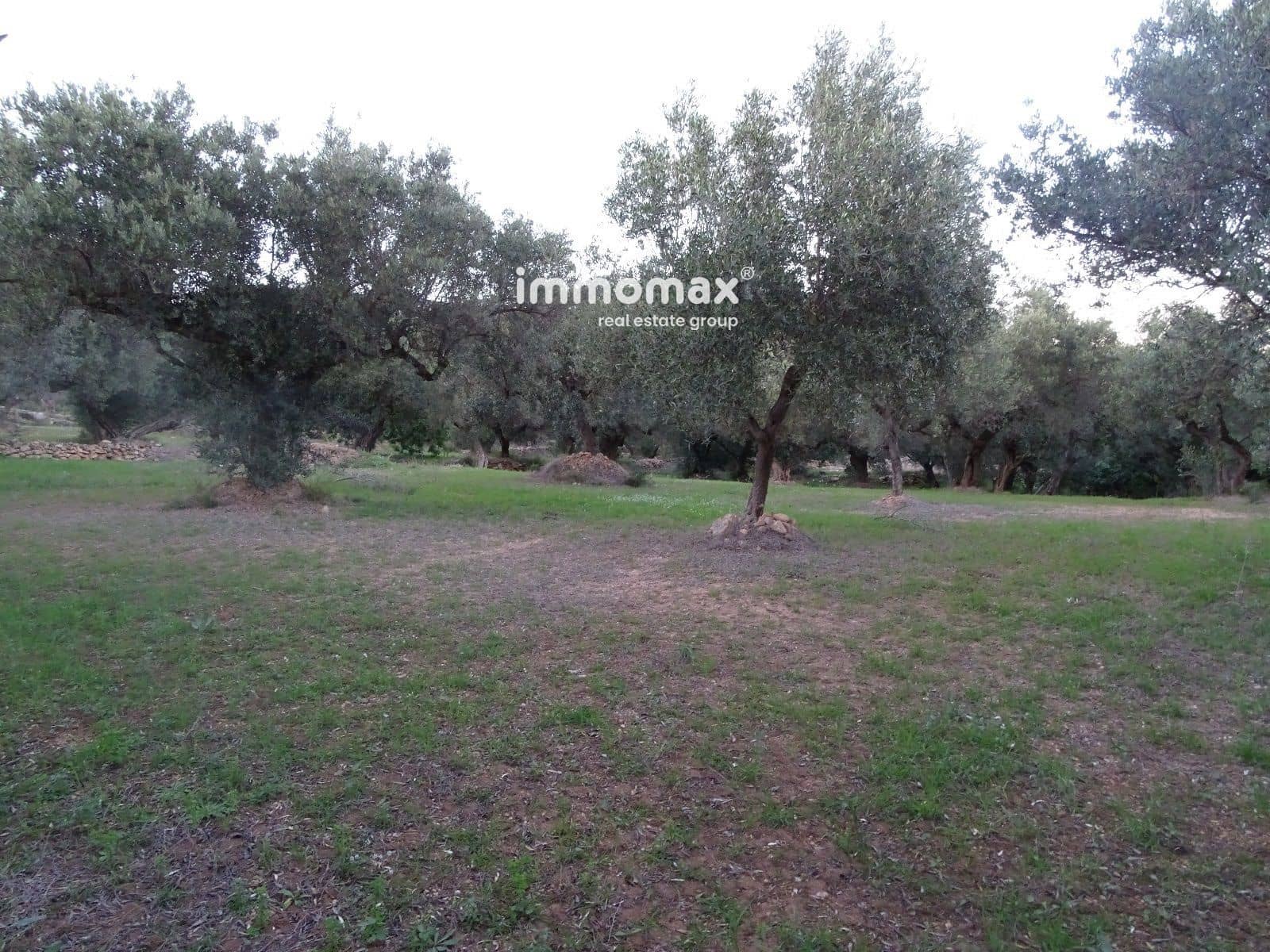 Terre non Aménagée à vendre à Xerta - 36 000 € (Ref: 8172124)