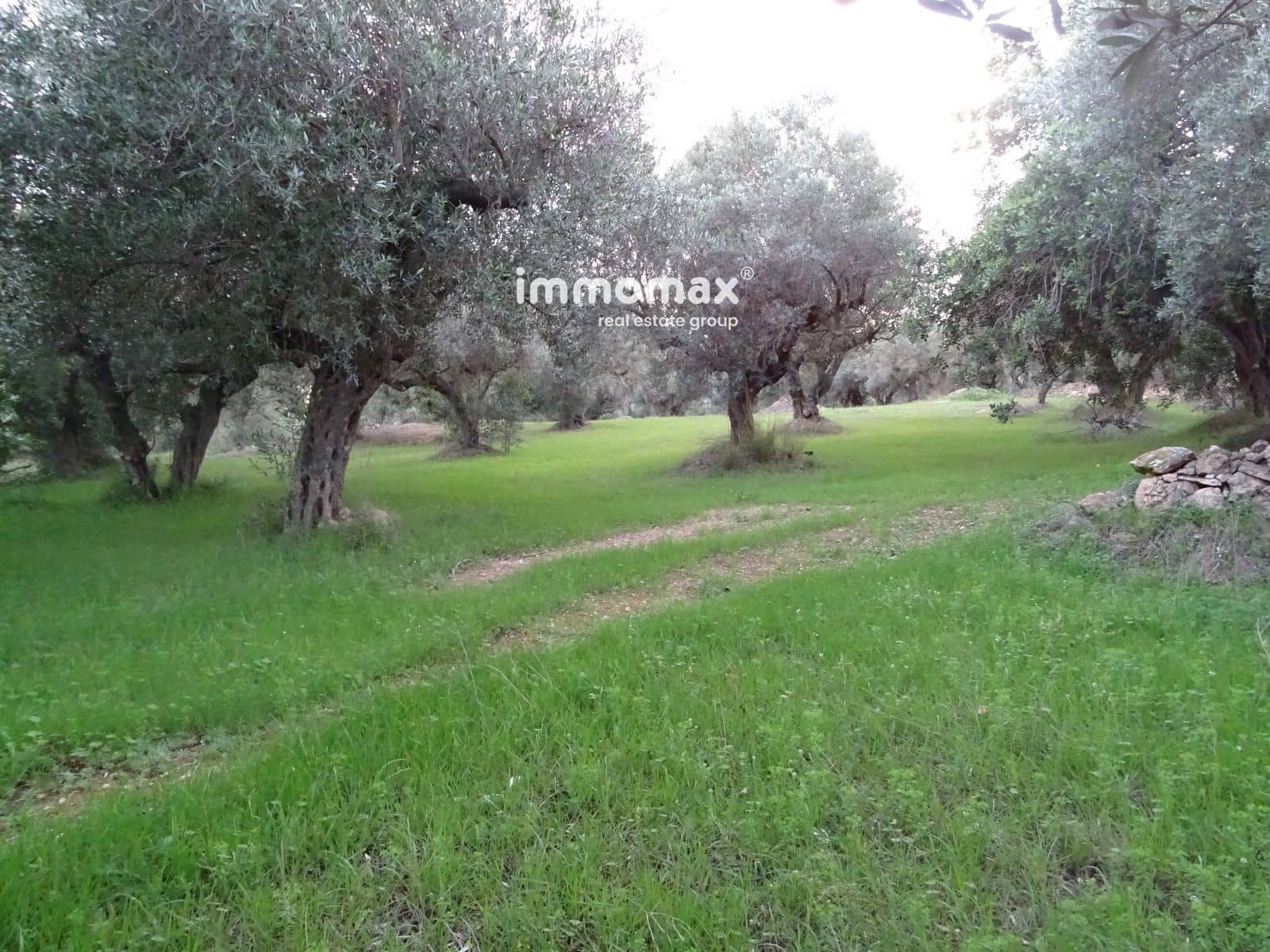 Terre non Aménagée à vendre à Xerta - 36 000 € (Ref: 8172124)