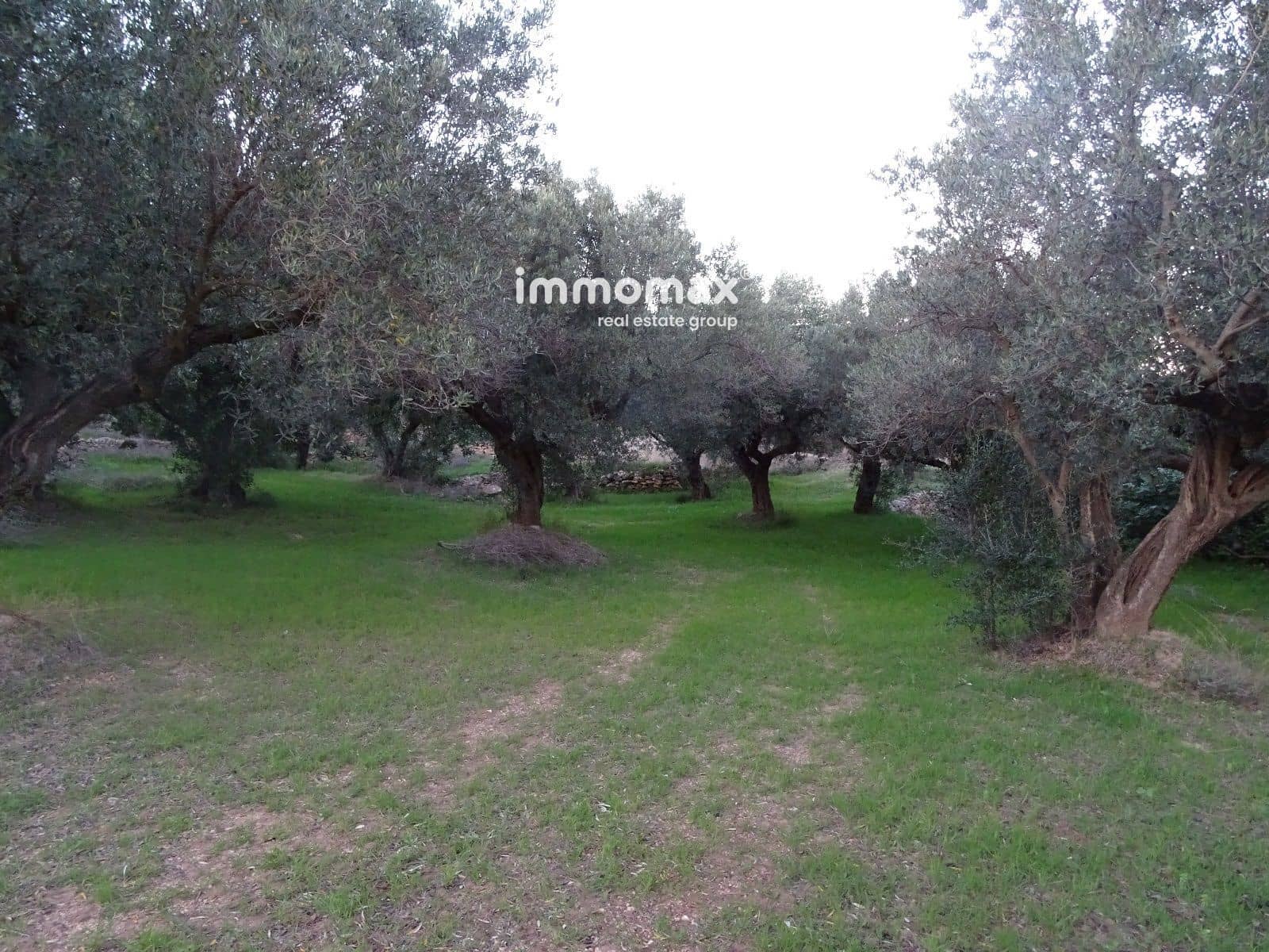 Terre non Aménagée à vendre à Xerta - 36 000 € (Ref: 8172124)