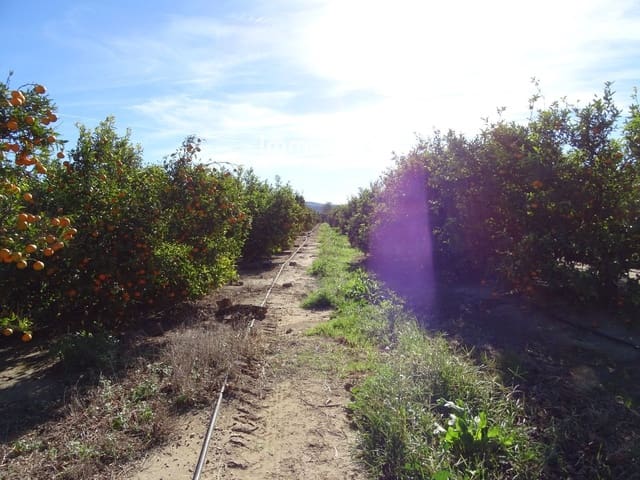 Undeveloped Land for sale in Bitem, Tortosa - € 66,000 (Ref: 8174220)