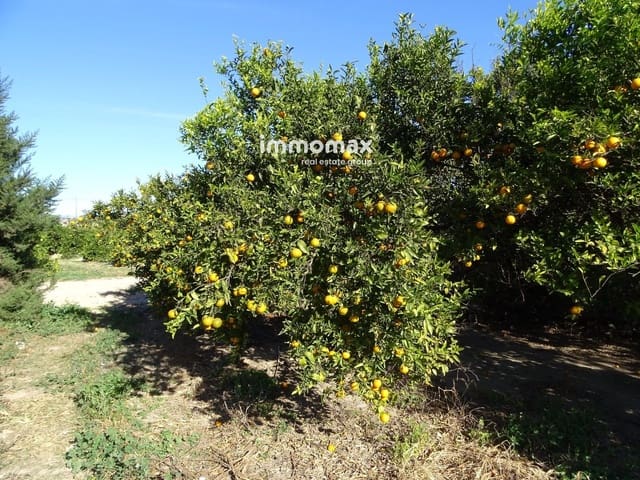 Undeveloped Land for sale in Bitem, Tortosa - € 66,000 (Ref: 8174220)